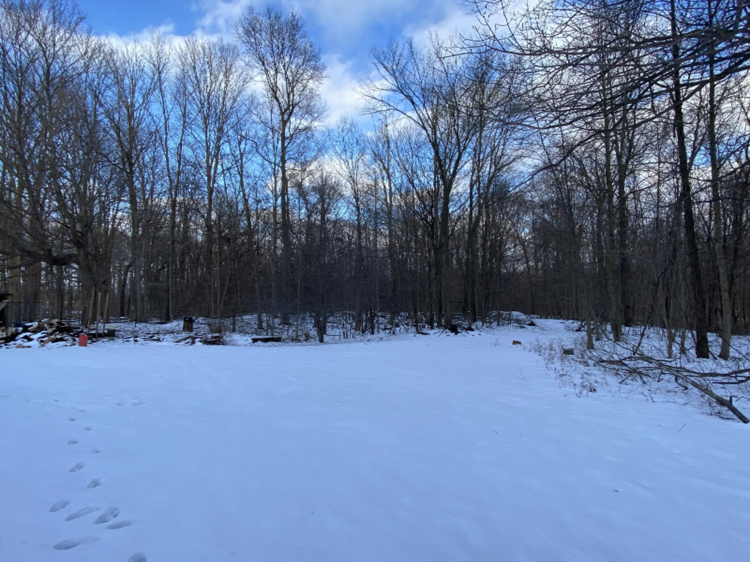 54851 Garrett Road Dowagiac, MI 49047 - Photo 3 of 18 IMG_1641