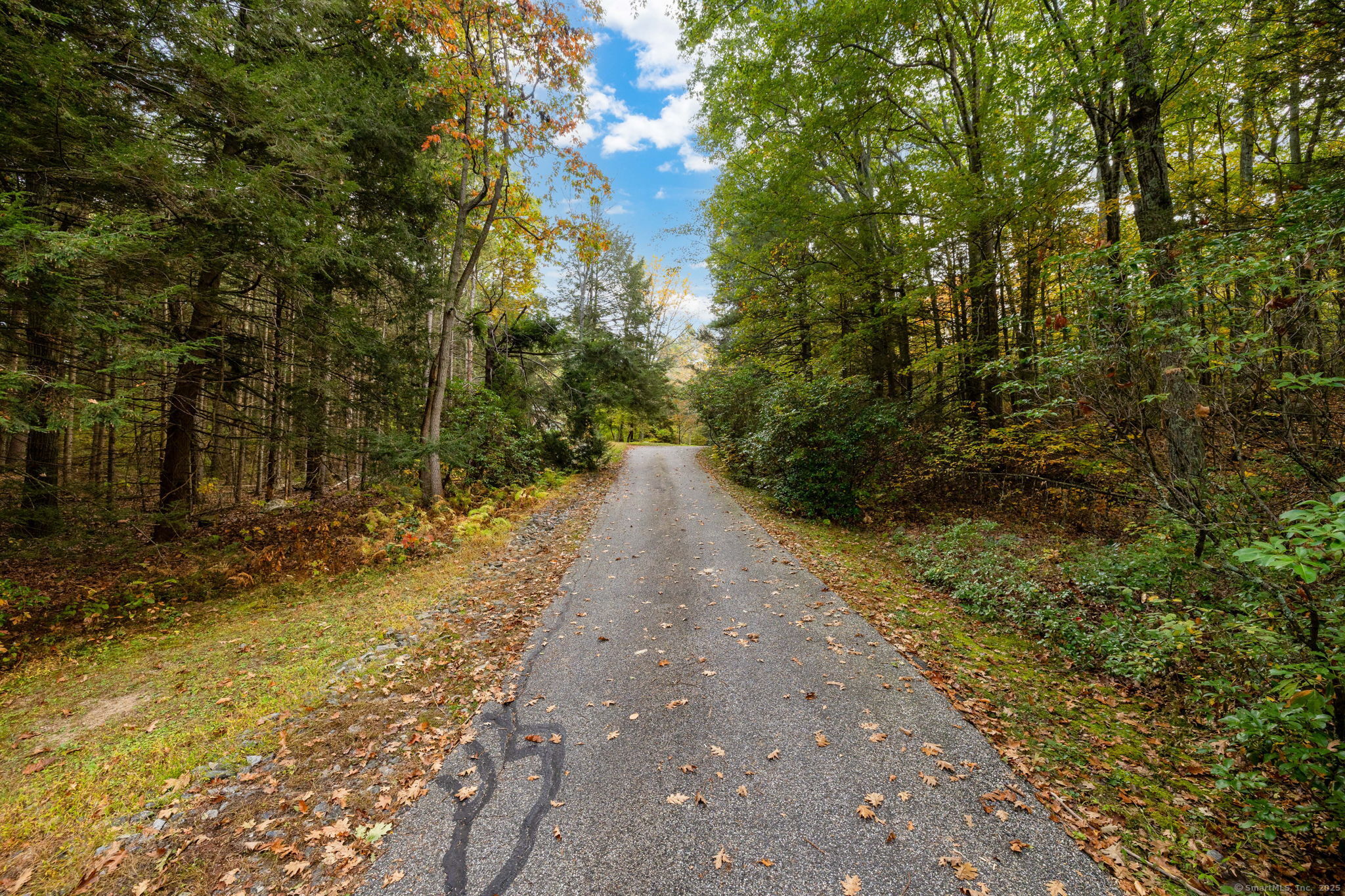 418 Plymouth Road Harwinton, CT 06791 - Photo 8 of 37 a view of a pathway with a yard