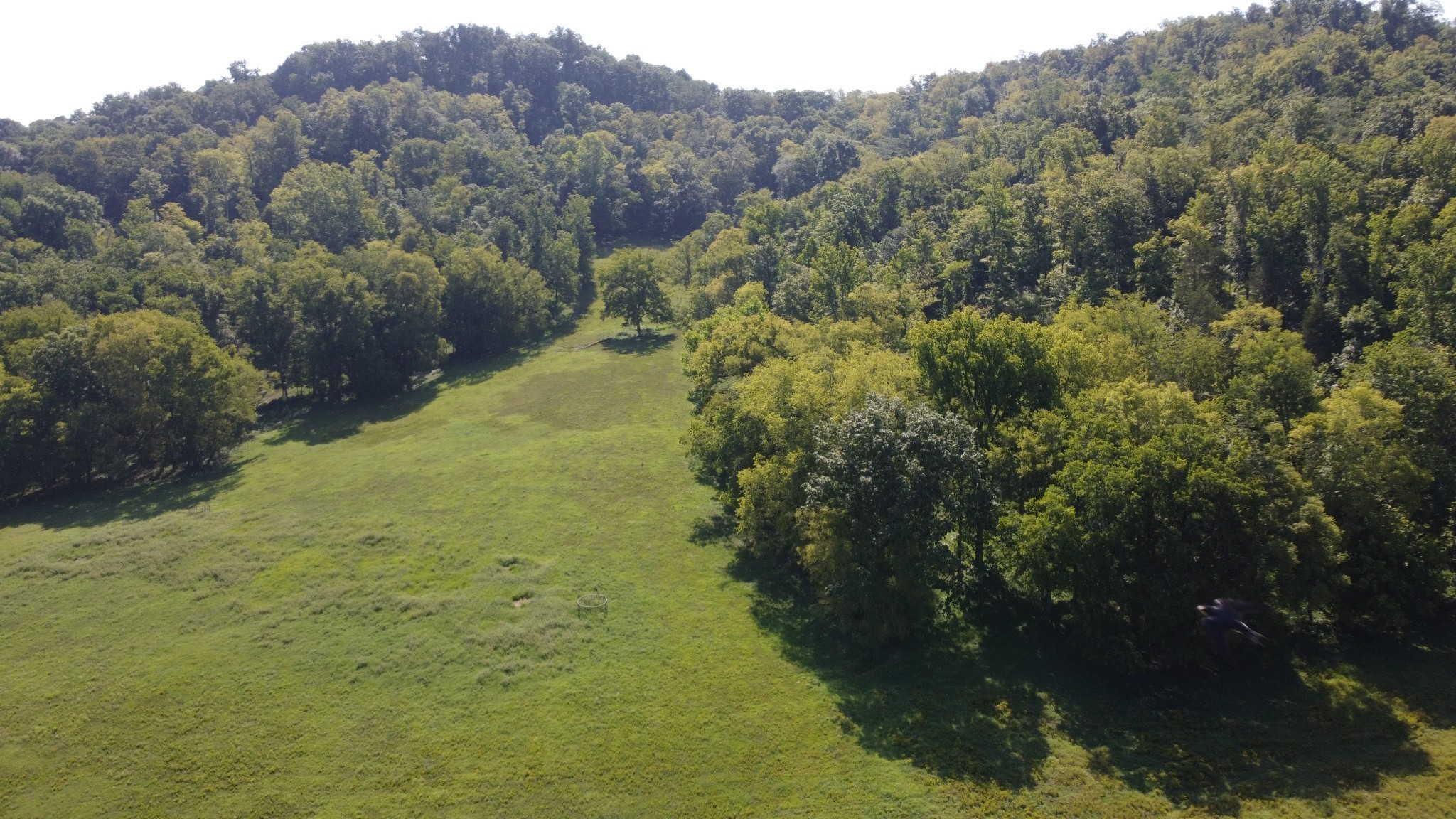 9 Crooked Hill Road Pulaski, TN 38478 - Photo 21 of 26 Gallery Image 21