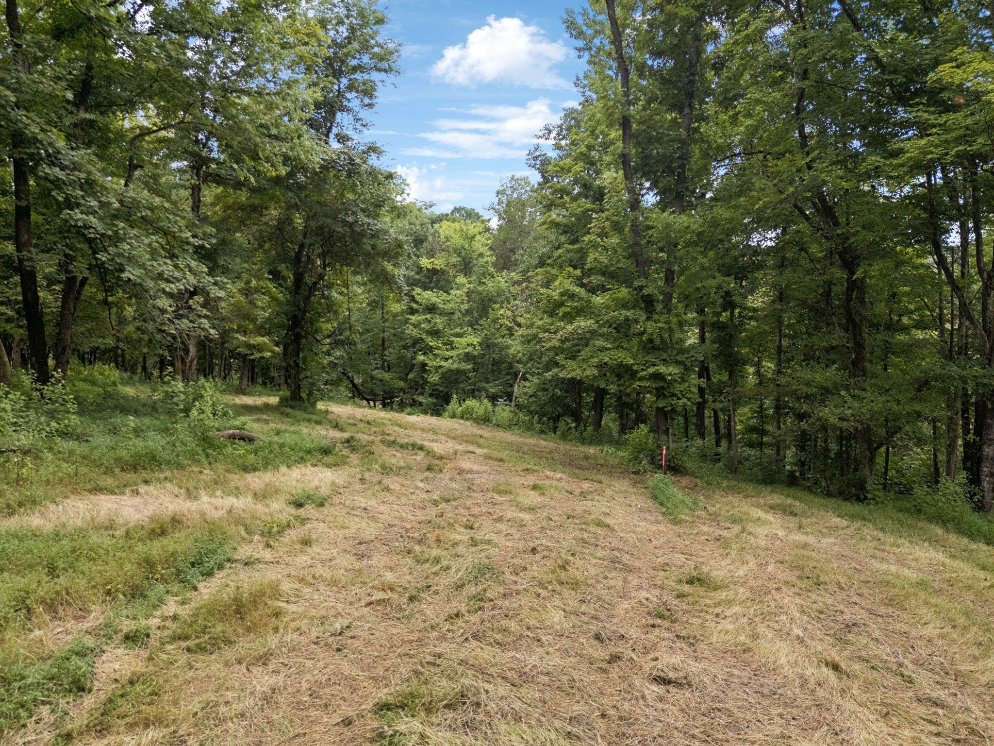 9 Crooked Hill Road Pulaski, TN 38478 - Photo 8 of 26 Gallery Image 8