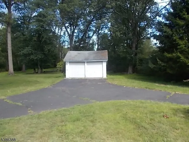 a small yard with large trees