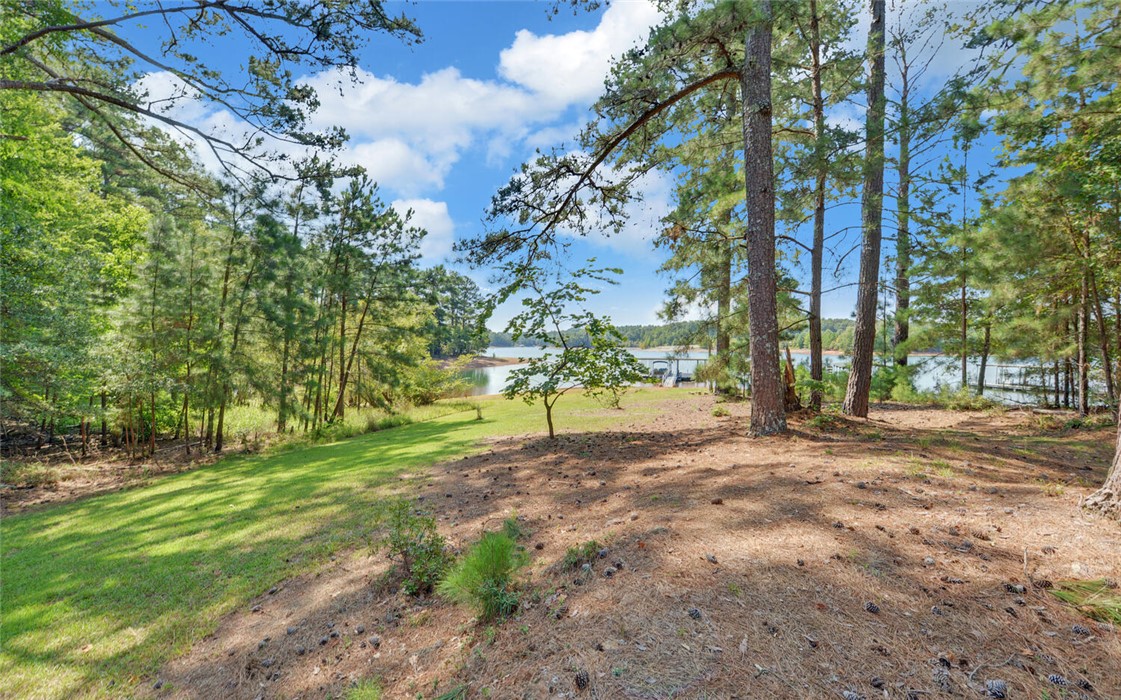 3166 Ridge Road Hartwell, GA 30643 - Photo 32 of 49