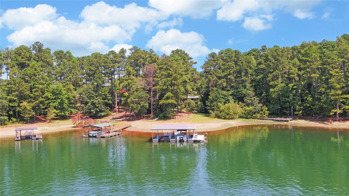 3166 Ridge Road Hartwell, GA 30643 - Photo 46 of 49