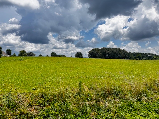 0 Old Holders Cove Road Winchester, TN 37398 - Photo 2 of 5 a view of an ocean and beach