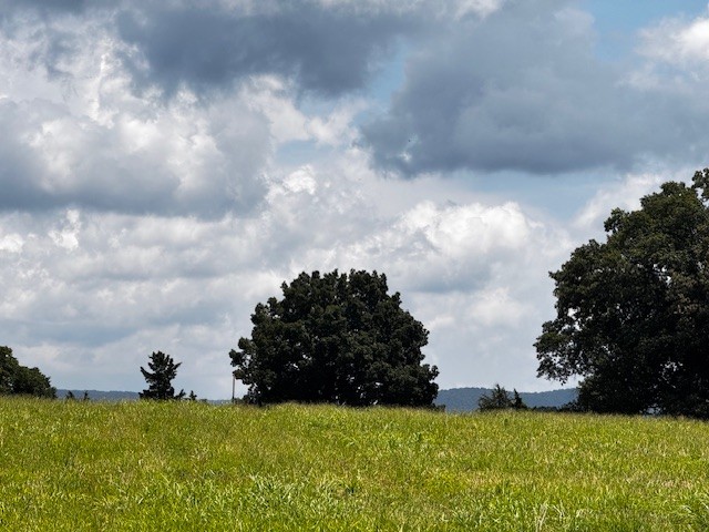 0 Old Holders Cove Road Winchester, TN 37398 - Photo 4 of 5 a view of a garden
