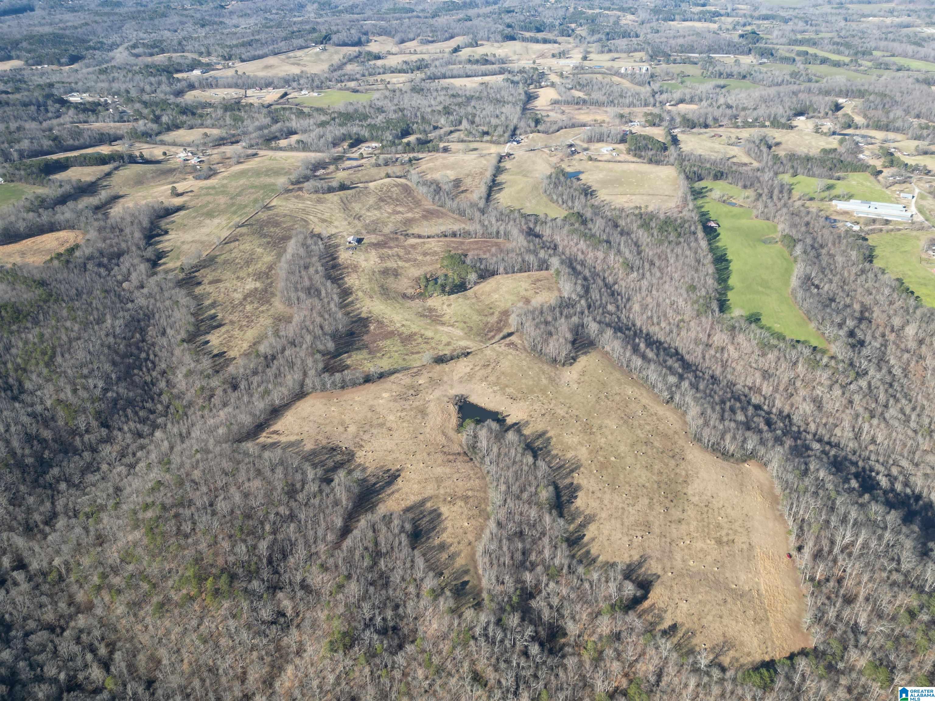 682 County Road 832 Logan, AL 35098 - Photo 19 of 48