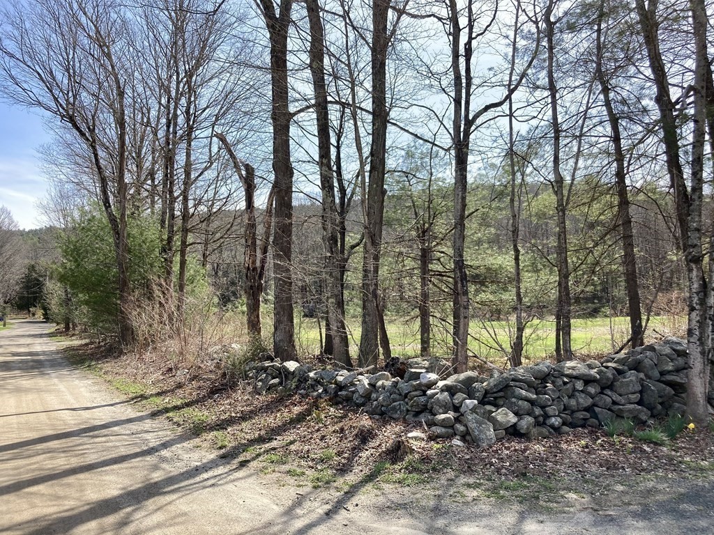 0 Rattlesnake Gutter Road Leverett, MA 01054 - Photo 2 of 17 Gallery Image 2