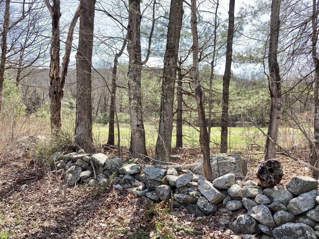 0 Rattlesnake Gutter Road Leverett, MA 01054 - Photo 3 of 17 Gallery Image 3