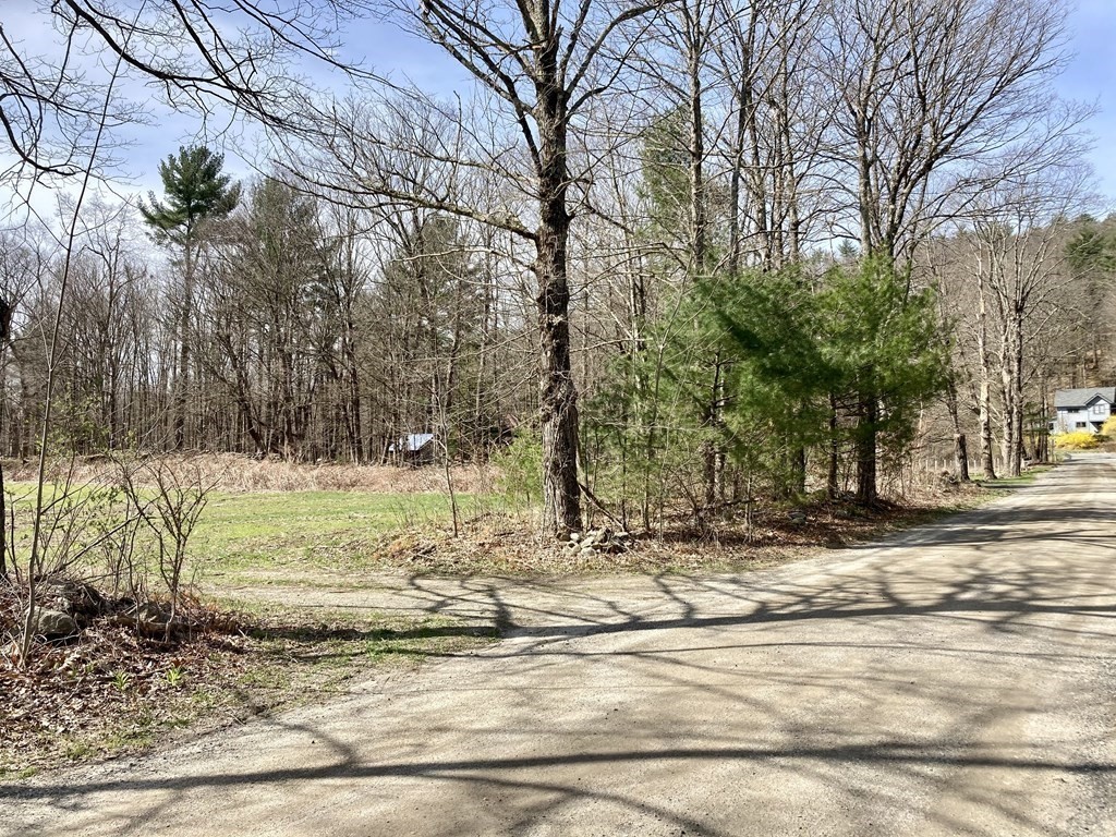 0 Rattlesnake Gutter Road Leverett, MA 01054 - Photo 4 of 17 Gallery Image 4