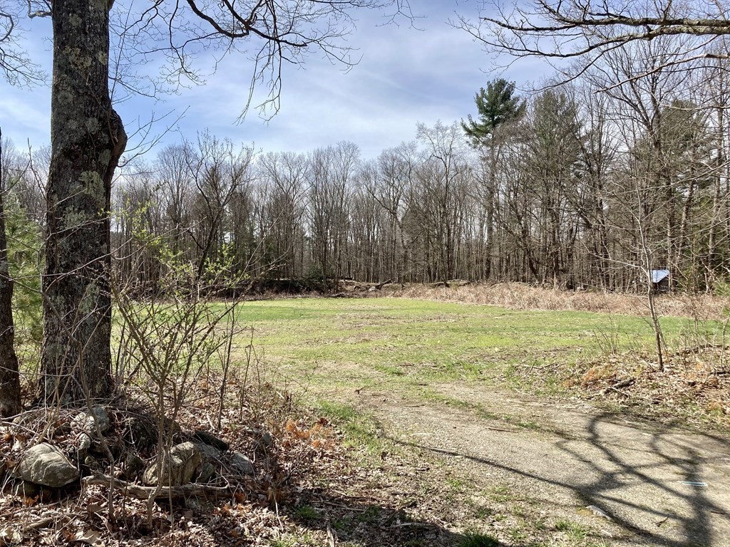 0 Rattlesnake Gutter Road Leverett, MA 01054 - Photo 5 of 17 Gallery Image 5