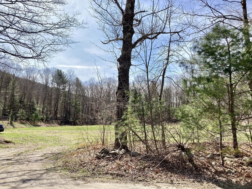 0 Rattlesnake Gutter Road Leverett, MA 01054 - Photo 6 of 17 Gallery Image 6