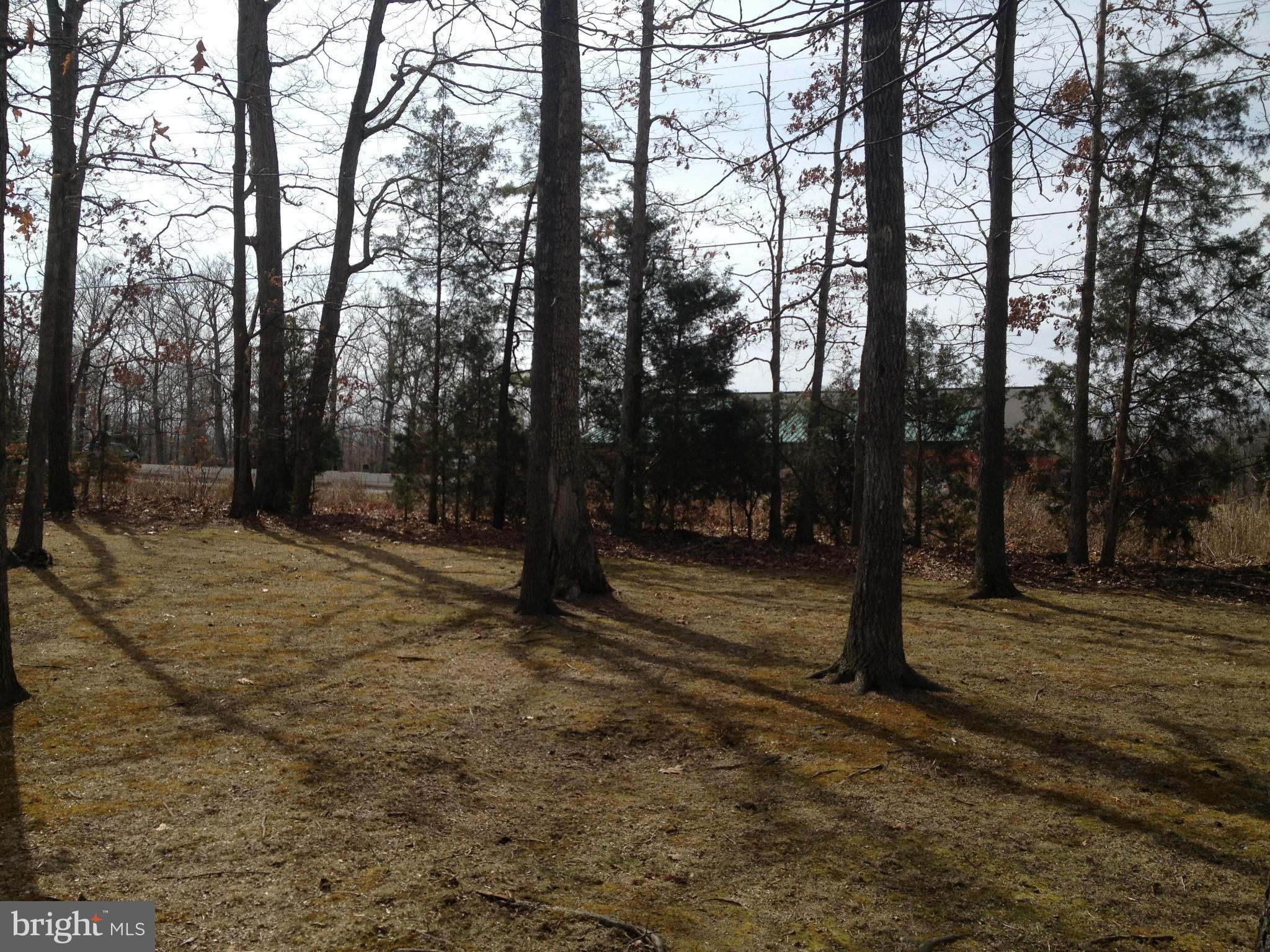 207 Freedom Road Locust Grove, VA 22508 - Photo 22 of 22 View