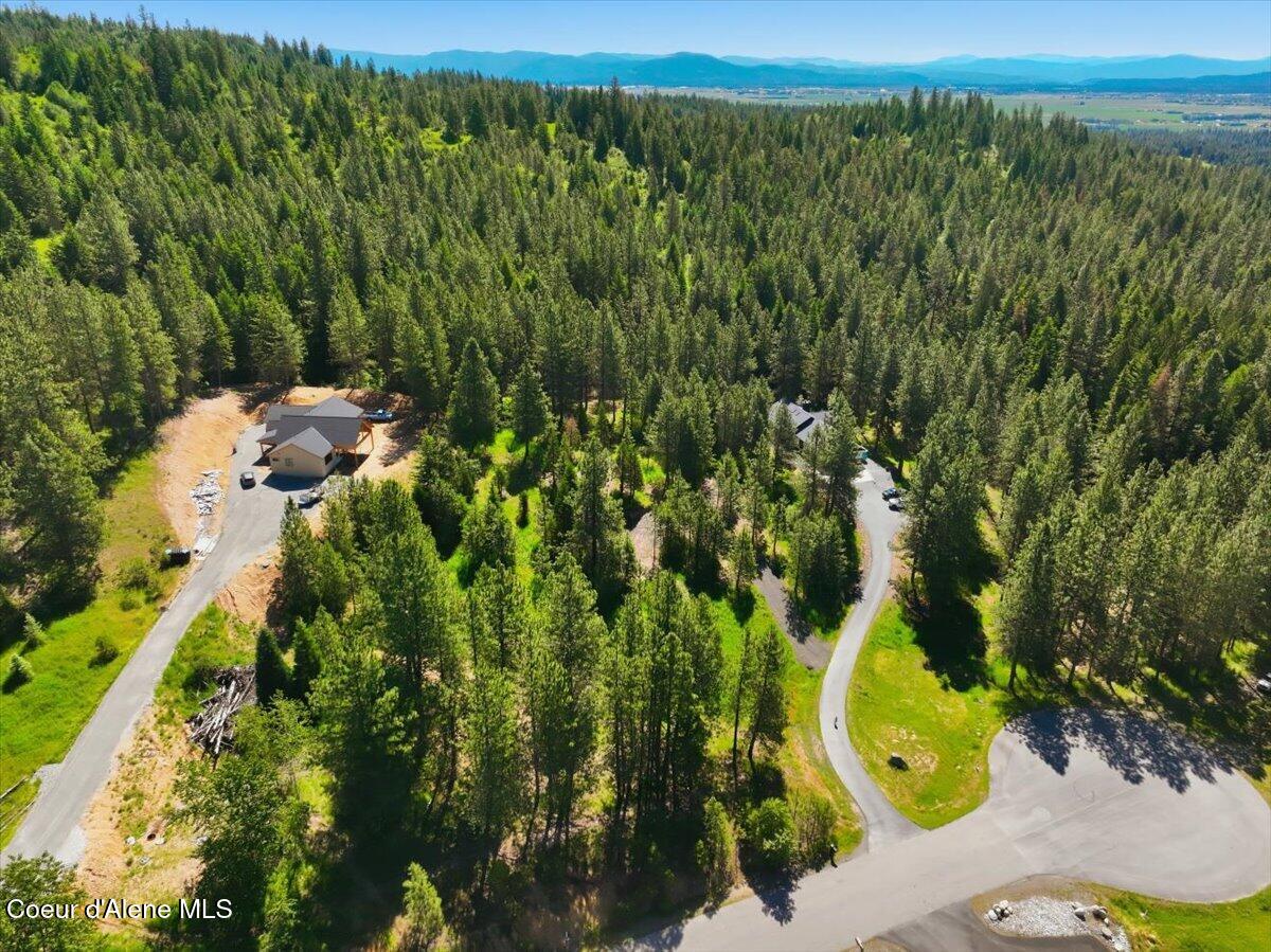 Nka North Saddle Ridge Road Rathdrum, ID 83858 - Photo 5 of 12 05-NKA N Saddle Ridge Rd_RedHogMedia