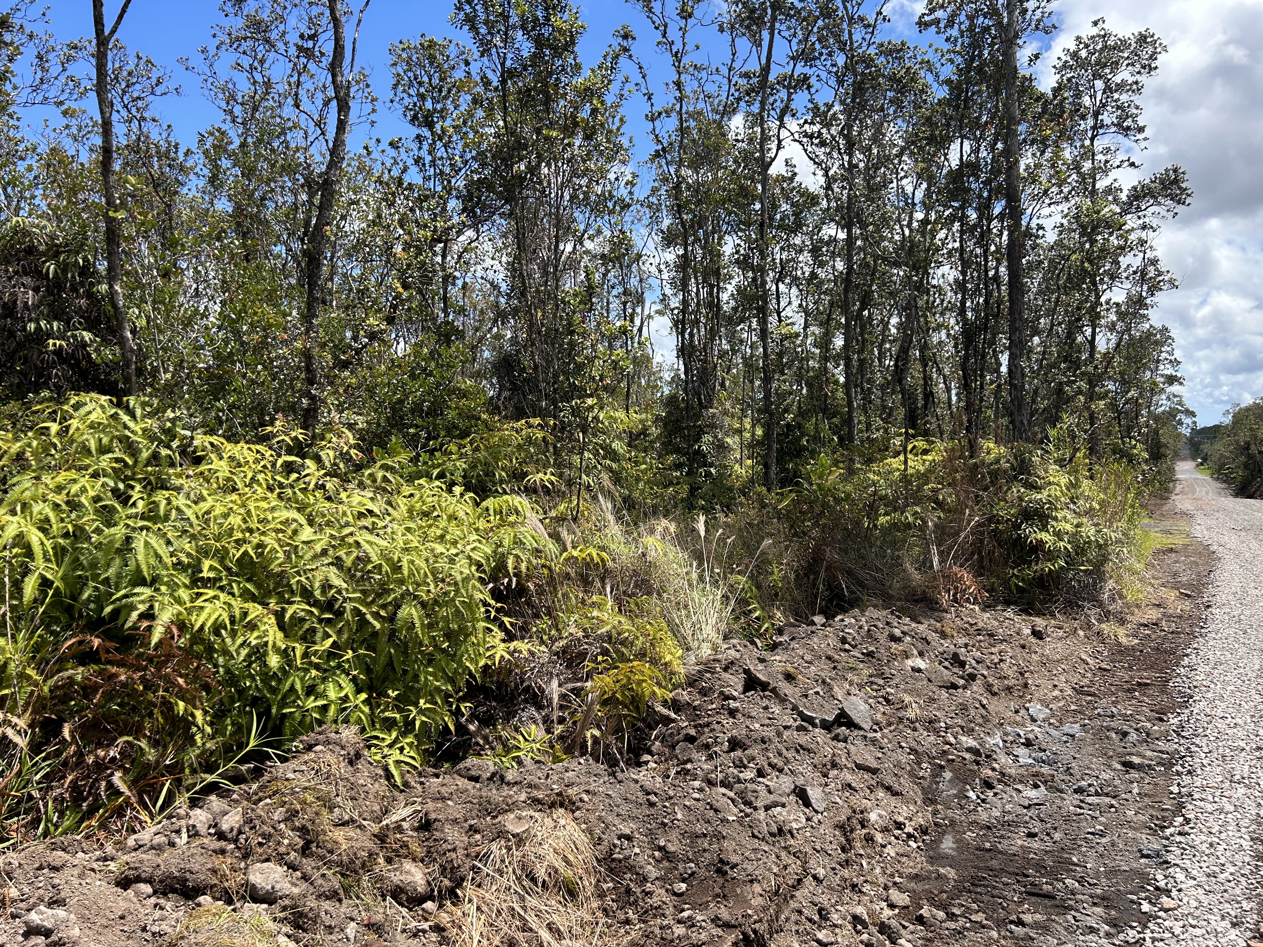 21 Kaleponi Road Volcano, HI 96785 - Photo 3 of 5 Gallery Image 3