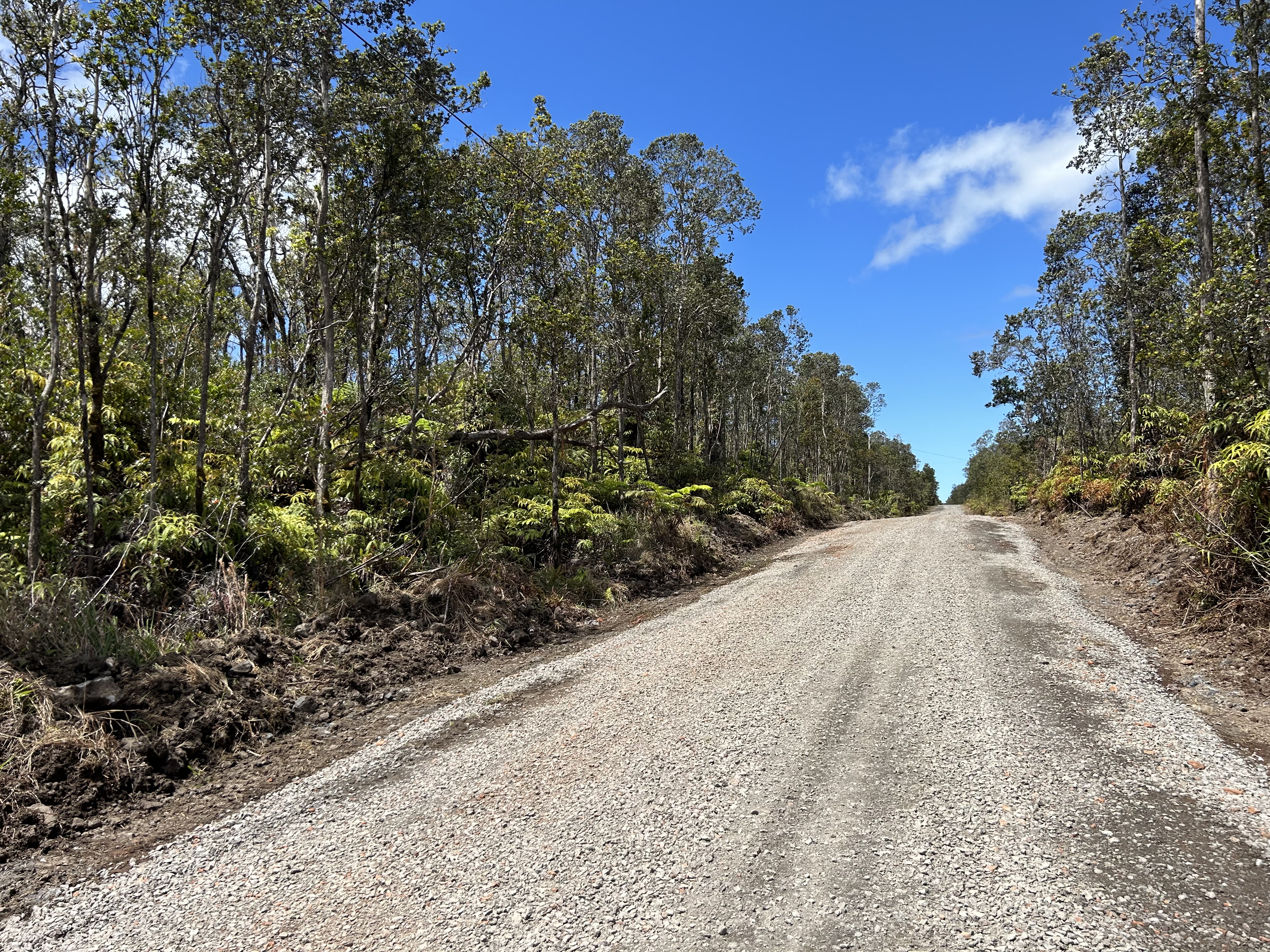 21 Kaleponi Road Volcano, HI 96785 - Photo 4 of 5 Gallery Image 4