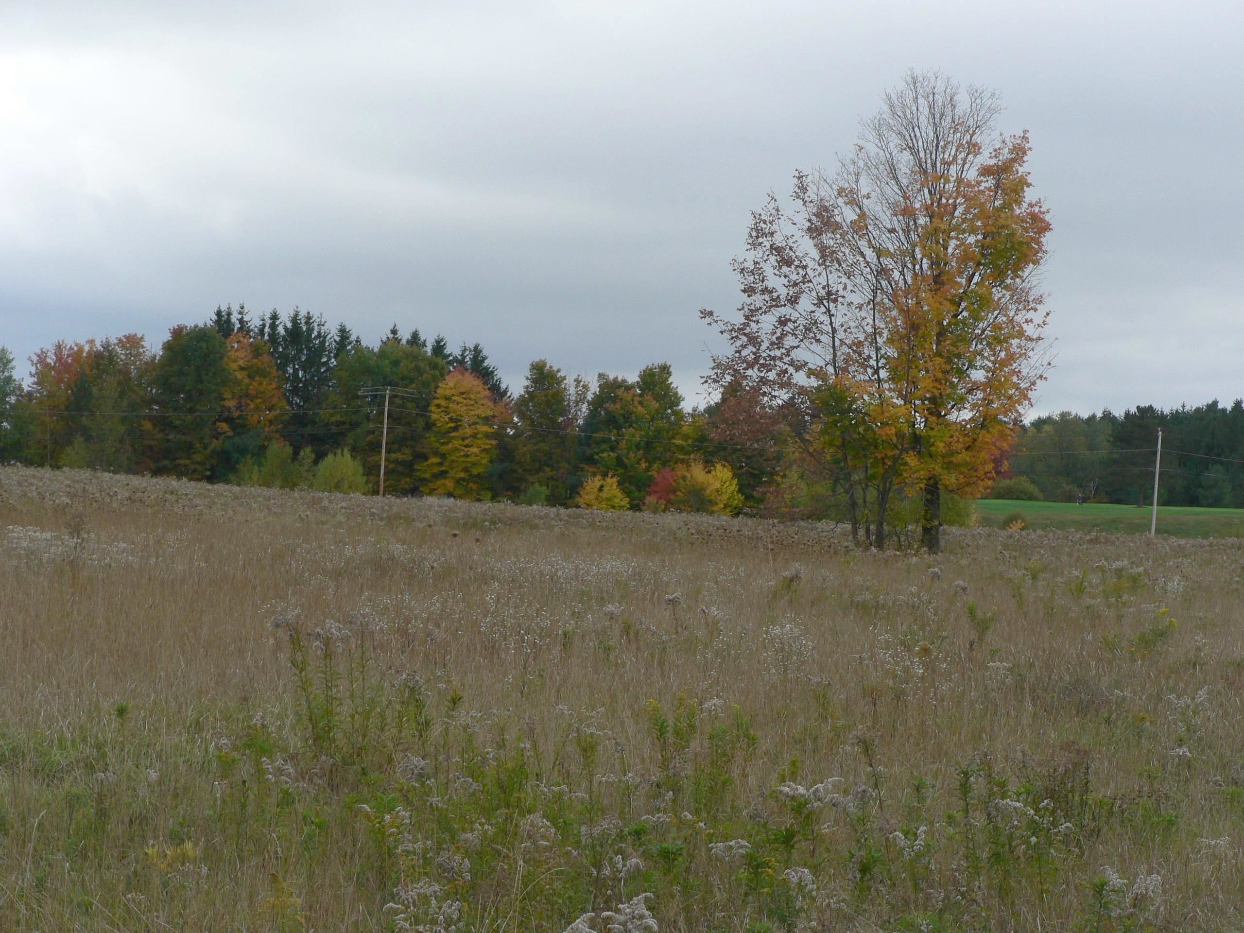 - Pine Hill Road Newport, VT 05855 - Photo 19 of 27