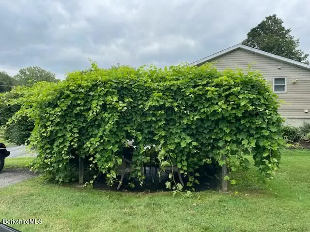 a backyard of a house with lots of green space