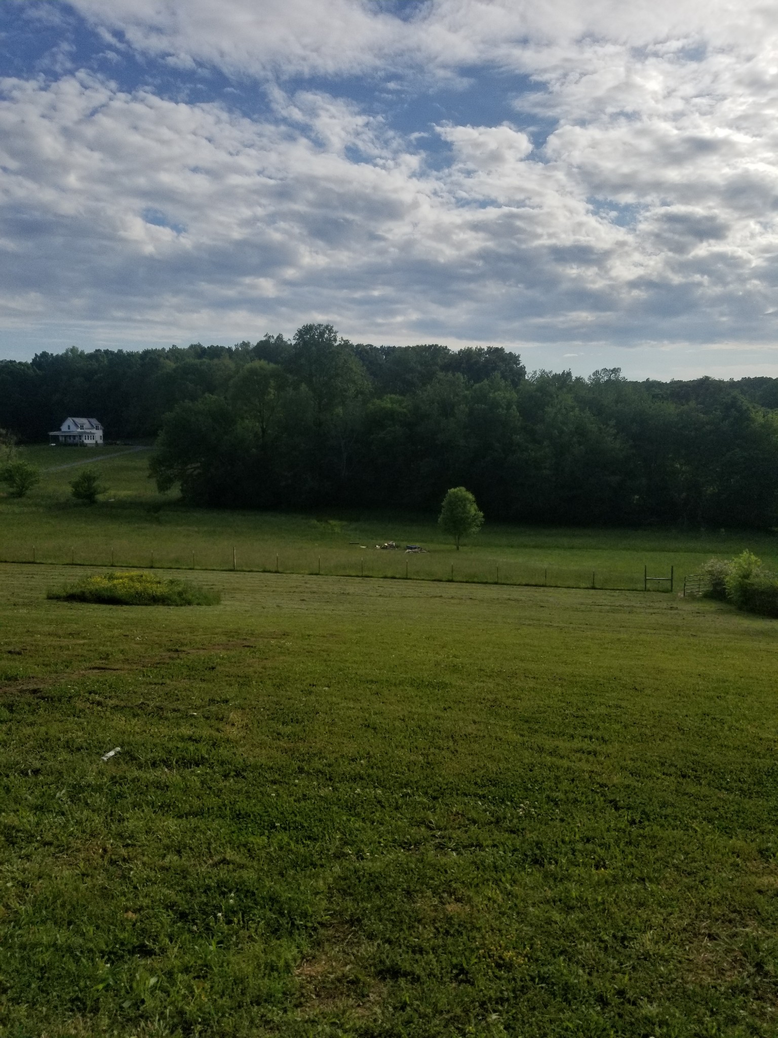 482 Bakertown Road Lynchburg, TN 37352 - Photo 3 of 14 Gallery Image 3