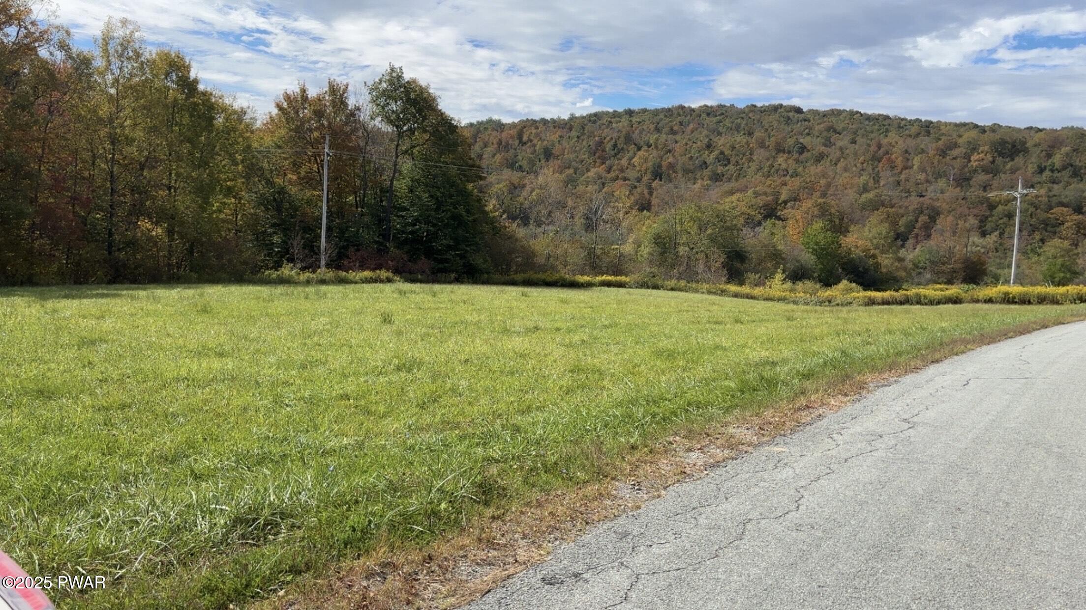 Shadigee Creek Road Road Starrucca, PA 18462 - Photo 1 of 3