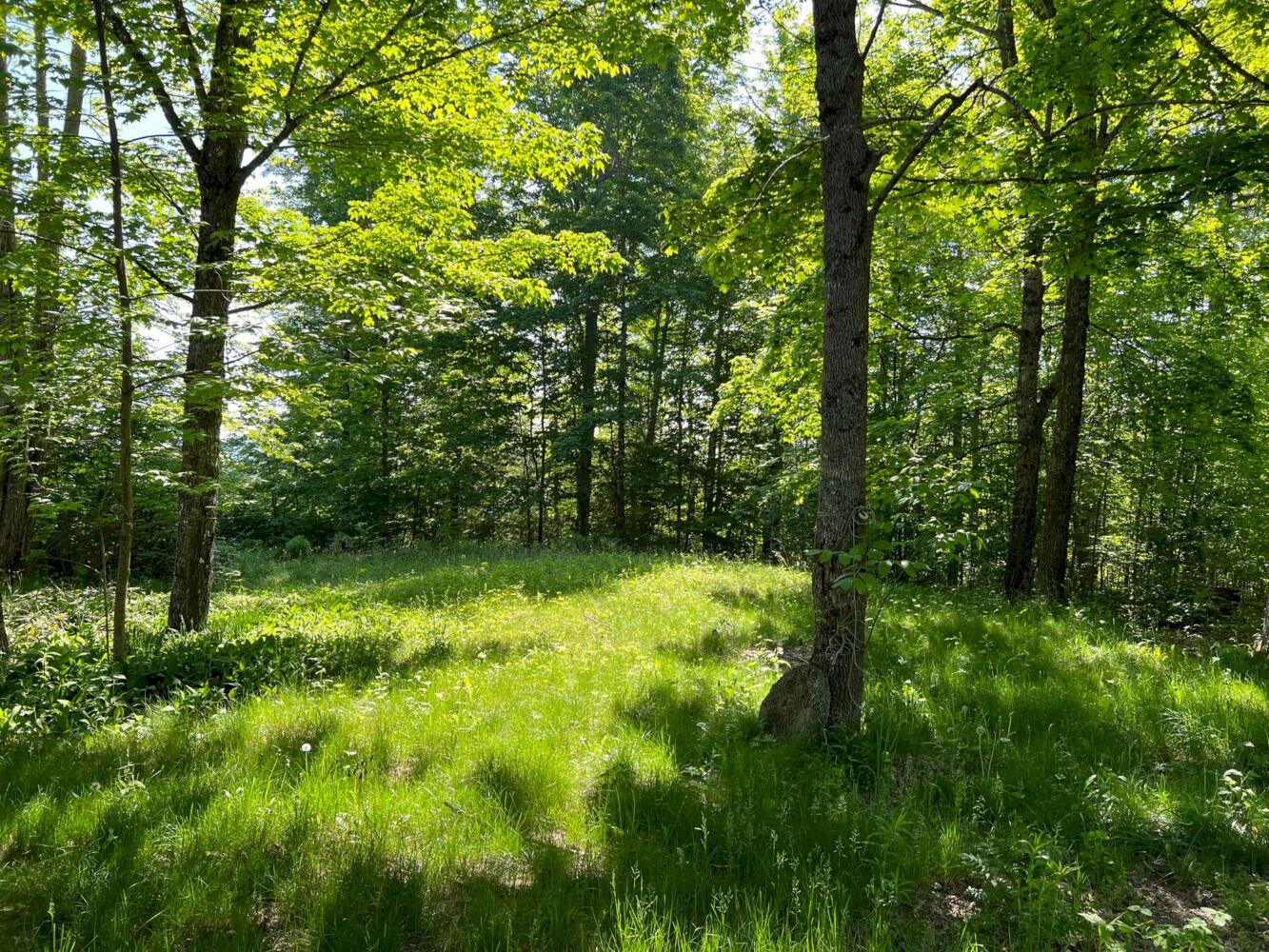747 Rowell Mountain Road Solon, ME 04979 - Photo 6 of 26 6