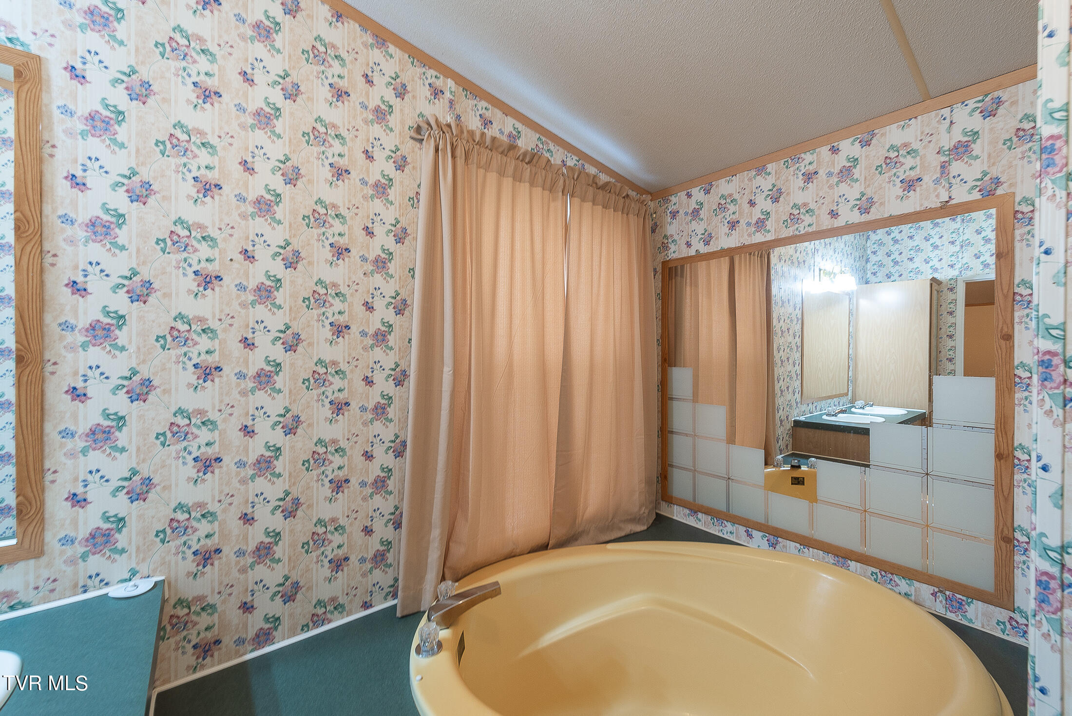 688 Oak Grove Road Gray, TN 37615 - Photo 26 of 64 Primary Bath