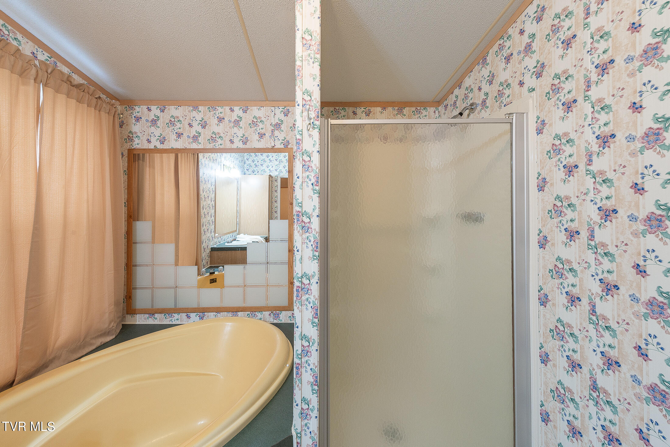 688 Oak Grove Road Gray, TN 37615 - Photo 27 of 64 Primary Bath