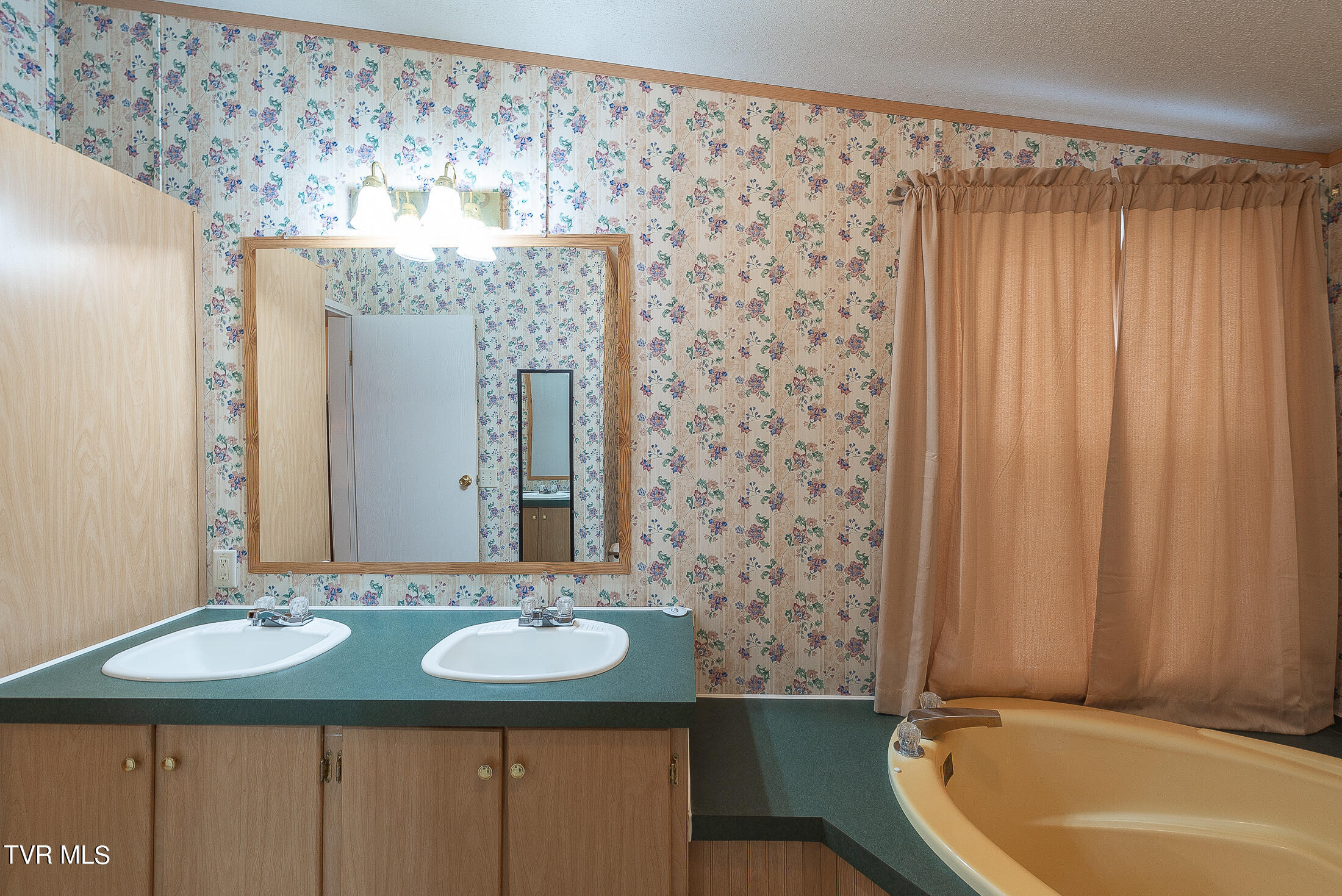 688 Oak Grove Road Gray, TN 37615 - Photo 28 of 64 Primary Bath