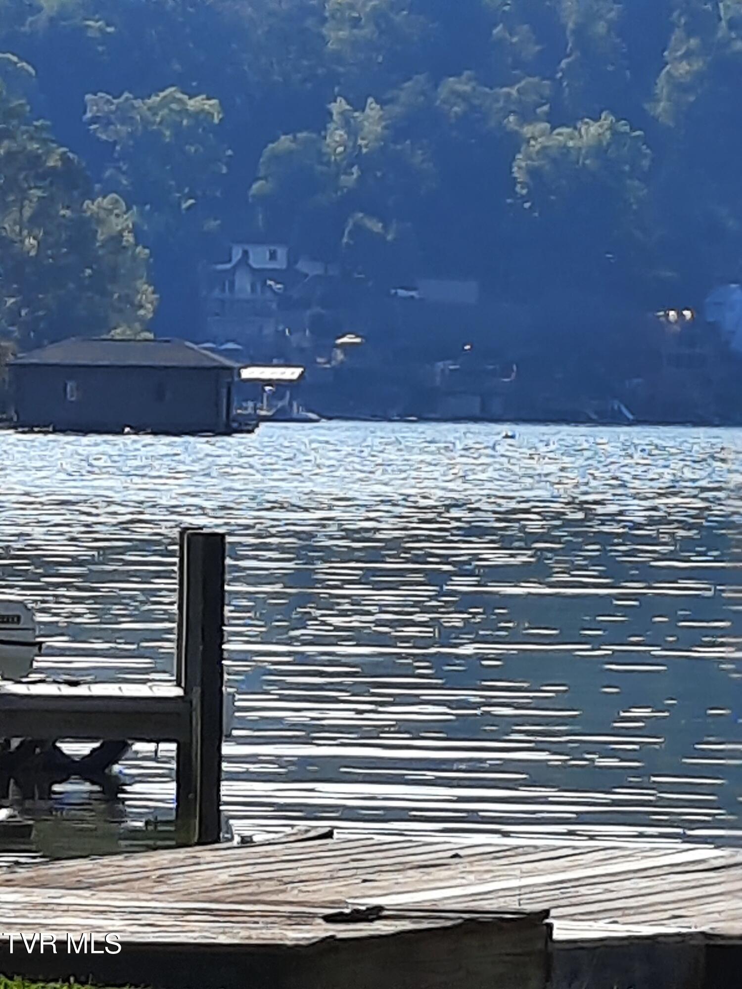 688 Oak Grove Road Gray, TN 37615 - Photo 6 of 64 LOOKING AT LAKE FROM DOCK