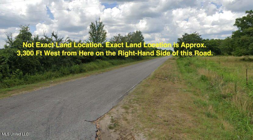 0 Bryan Road Michigan City, MS 38647 - Photo 1 of 1 Lot View
