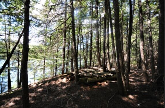 Lot 51 Ledges Way Dedham, ME 04429 - Photo 10 of 11 Screenshot 2021-10-13 081418