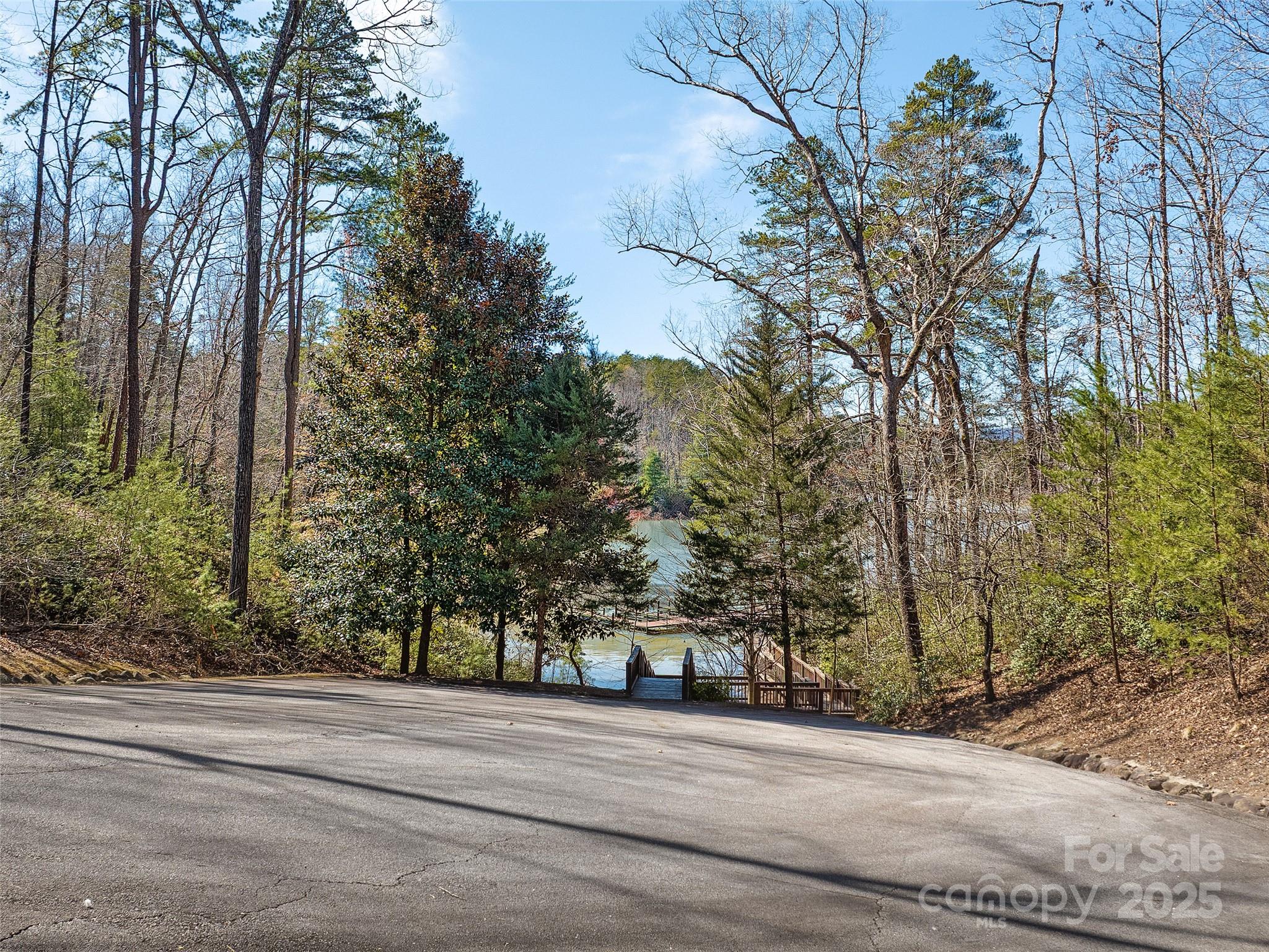 0 Huskey Pointe Pointe, Unit 6 Mill Spring, NC 28756 - Photo 11 of 12 Gallery Image 11