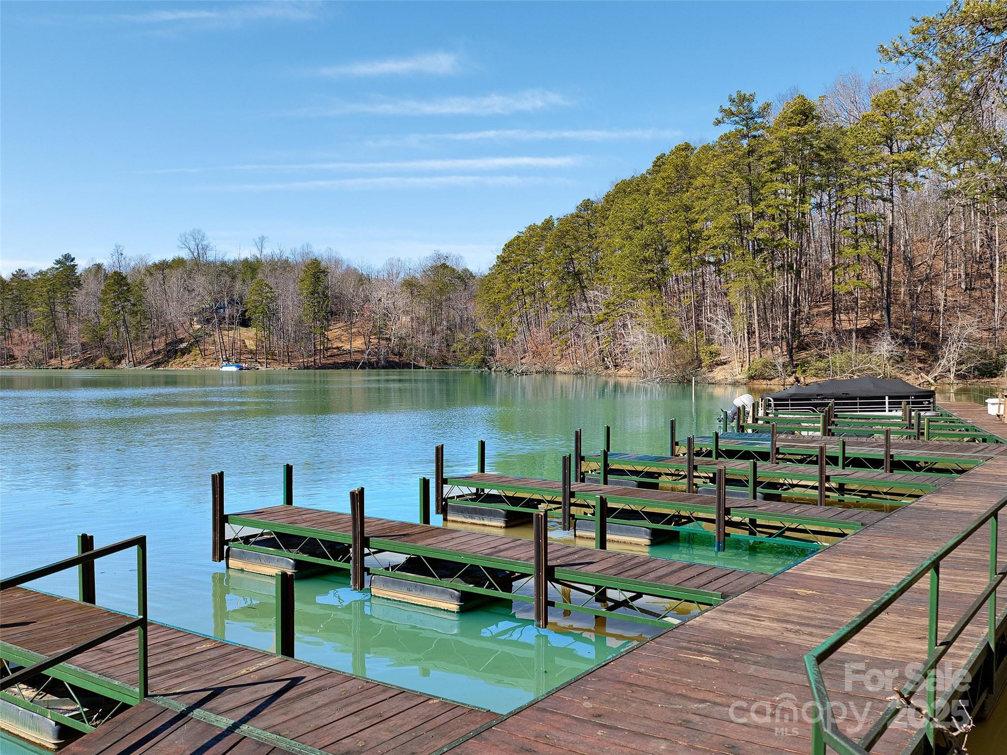 0 Huskey Pointe Pointe, Unit 6 Mill Spring, NC 28756 - Photo 12 of 12 Gallery Image 12