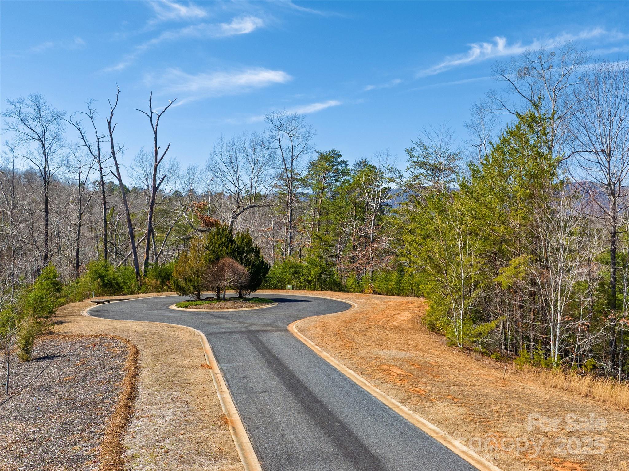 0 Huskey Pointe Pointe, Unit 6 Mill Spring, NC 28756 - Photo 5 of 12 Gallery Image 5