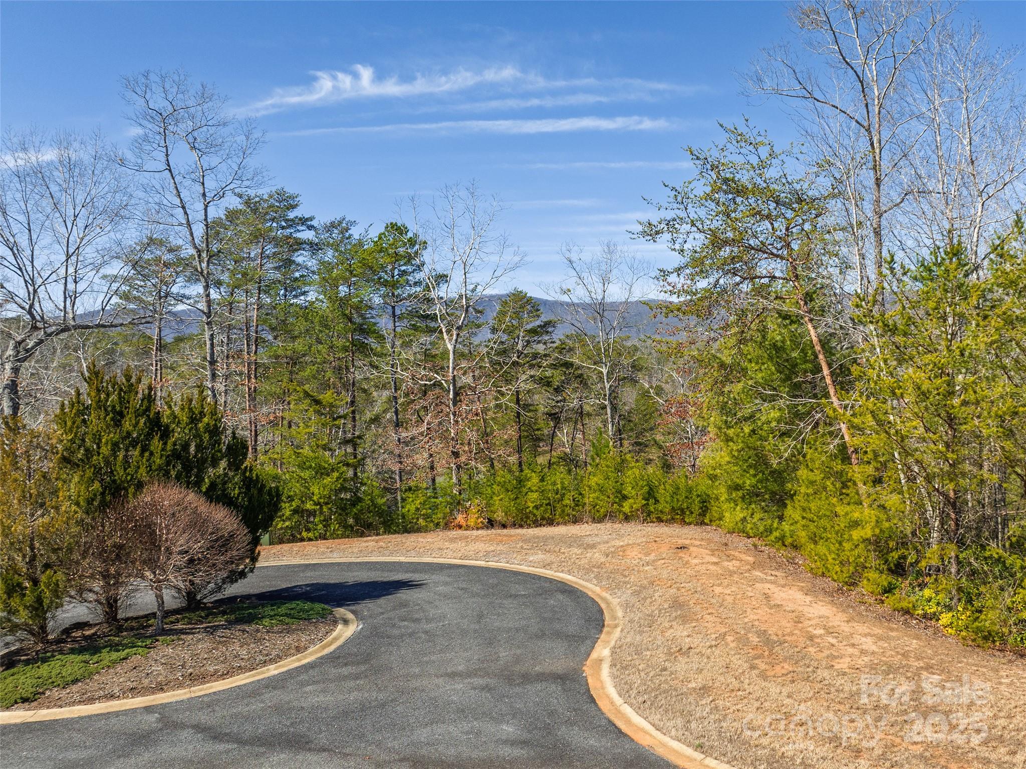 0 Huskey Pointe Pointe, Unit 6 Mill Spring, NC 28756 - Photo 6 of 12 Gallery Image 6