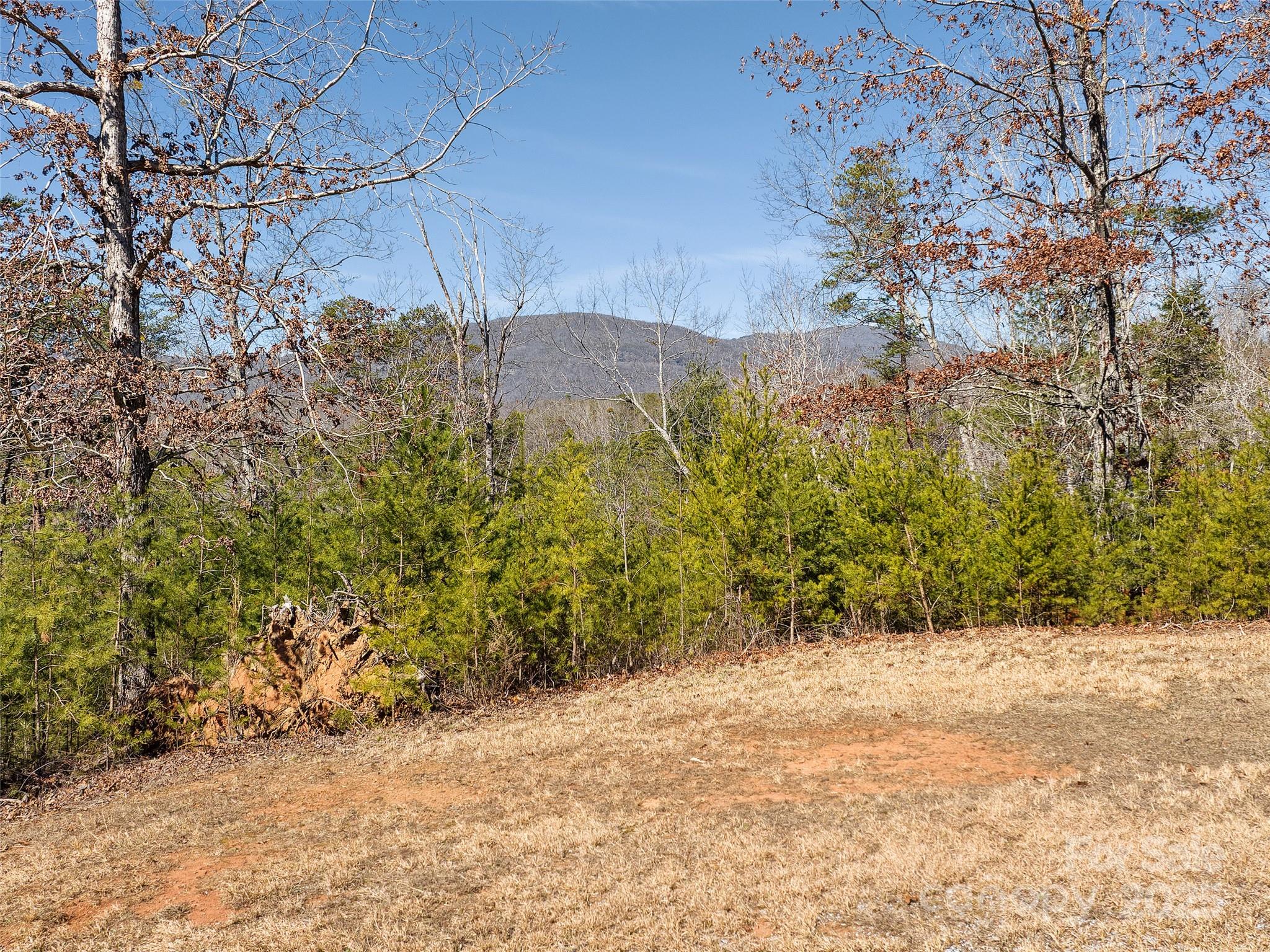 0 Huskey Pointe Pointe, Unit 6 Mill Spring, NC 28756 - Photo 7 of 12 Gallery Image 7