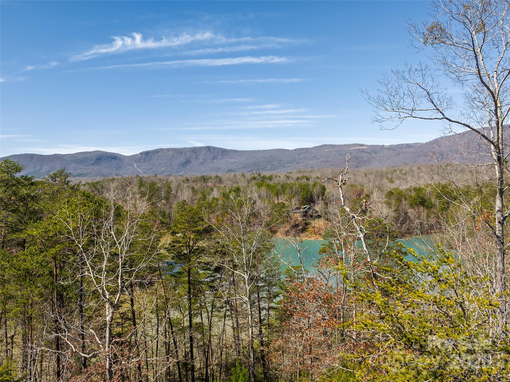 0 Huskey Pointe Pointe, Unit 6 Mill Spring, NC 28756 - Photo 8 of 12 Gallery Image 8