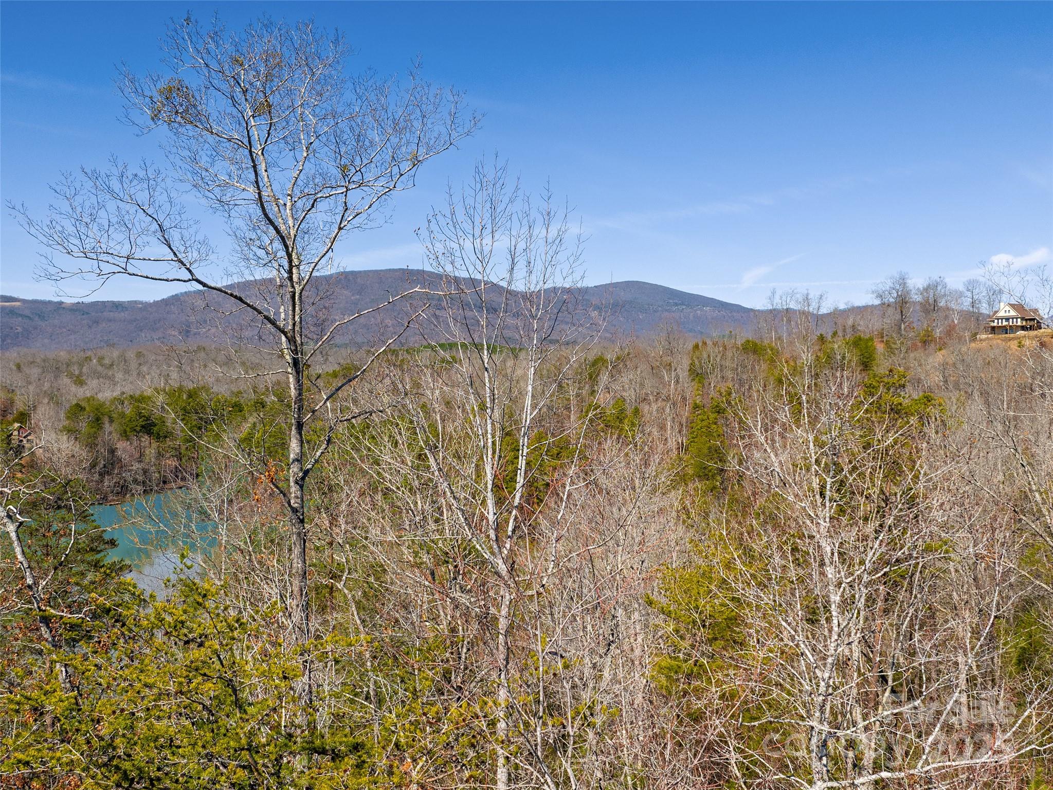 0 Huskey Pointe Pointe, Unit 6 Mill Spring, NC 28756 - Photo 9 of 12 Gallery Image 9