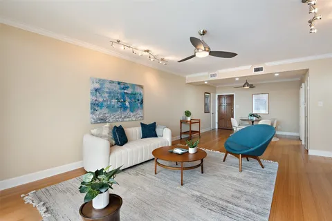 a living room with furniture potted plant and a rug