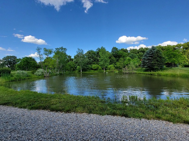 This tranquil pond provides a serene natural escape amidst lush greenery under an expansive sky.