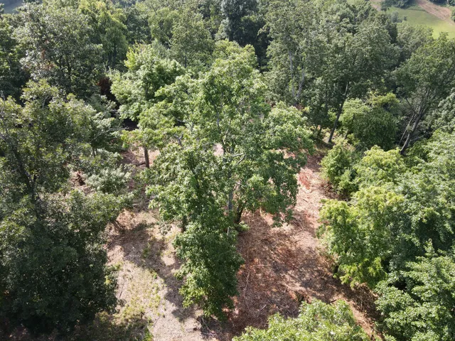 $298,800 | 0 Rivendell, Beechgrove, TN 37018