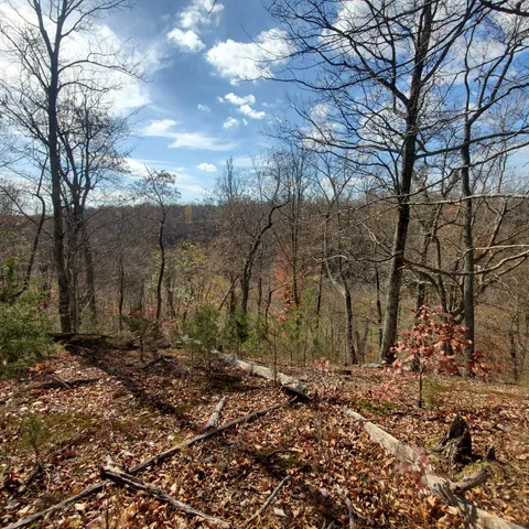 $298,800 | 0 Rivendell, Beechgrove, TN 37018