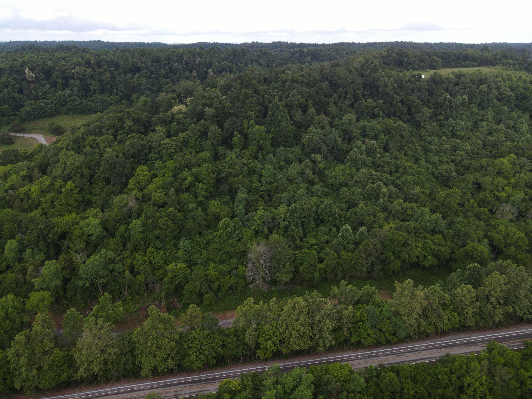 0 Rivendell Beechgrove, TN 37018 - Photo 6 of 6