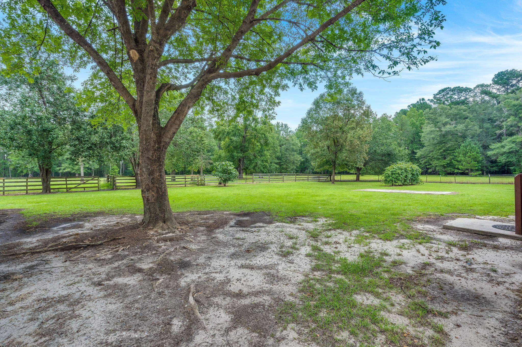 327 County Rd S-18-182 Ridgeville, SC 29472 - Photo 32 of 32