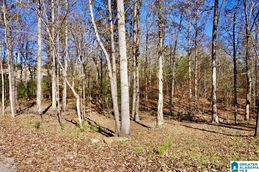 20 County Road 231 Cullman, AL 35057 - Photo 47 of 52
