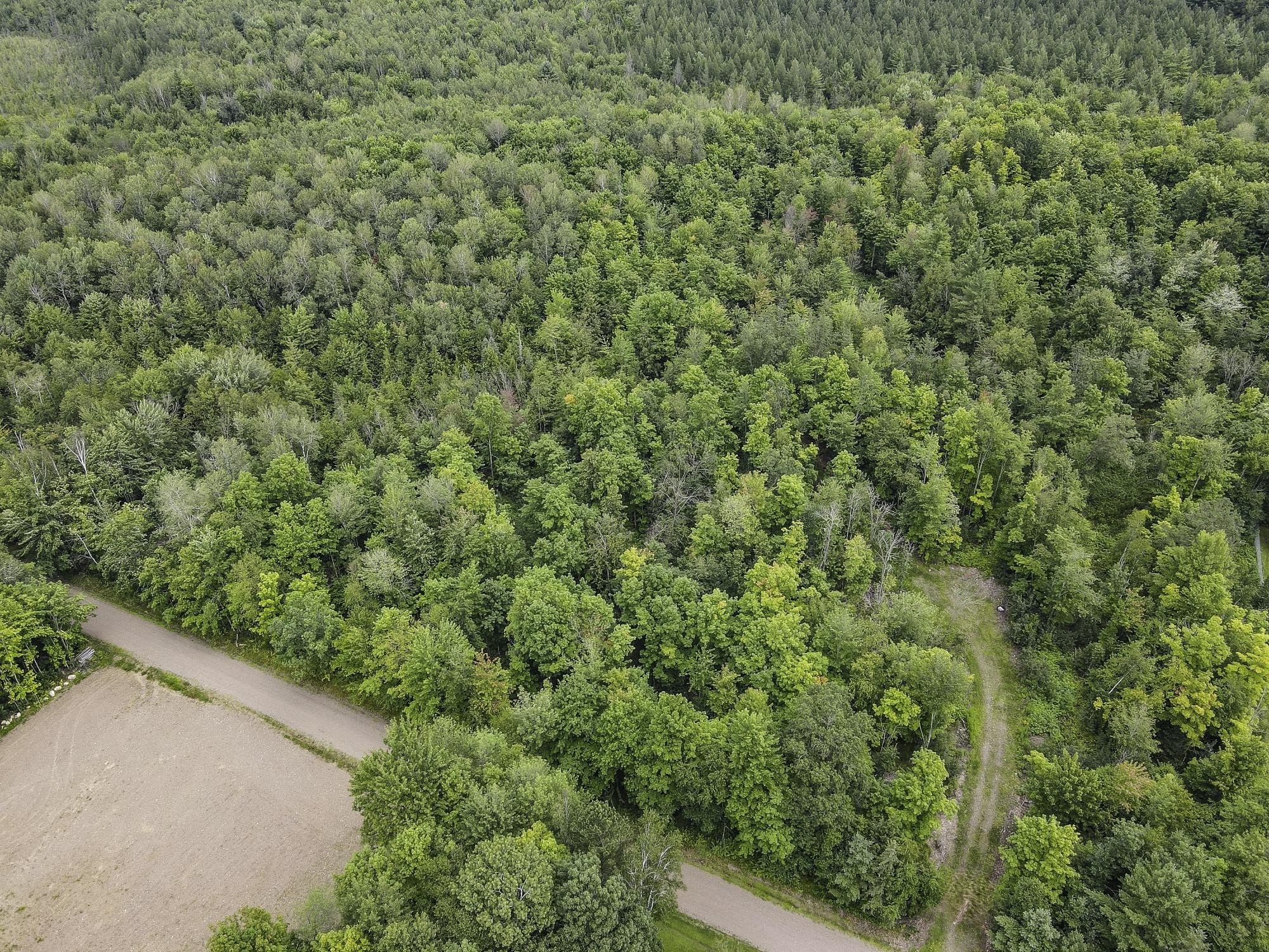 93.89 A Kundinger Road Park Falls, WI 54552 - Photo 6 of 36 Gallery Image 6