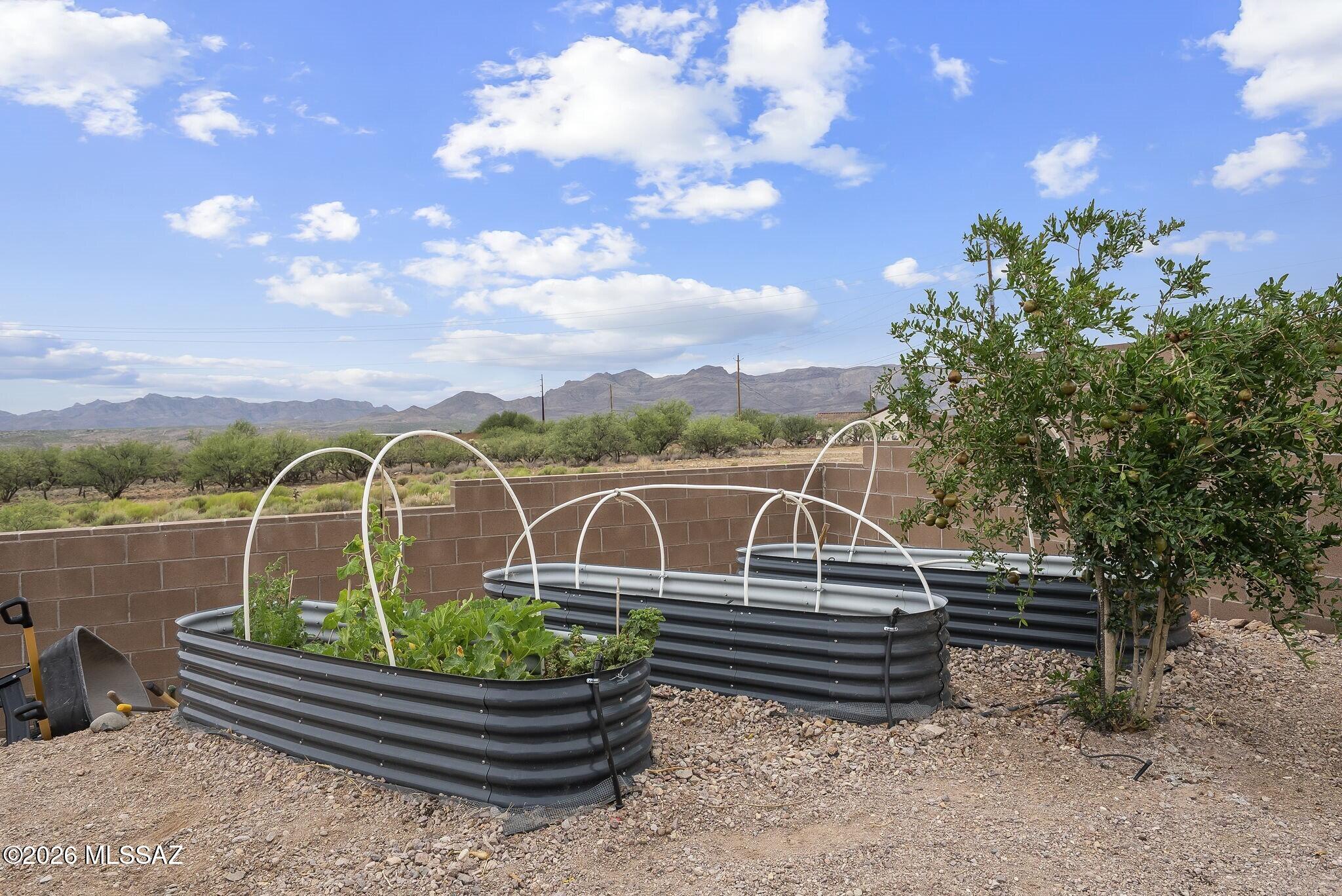 1752 Circulo Agua Blanca Rio Rico, AZ 85648 - Photo 26 of 41 Garden