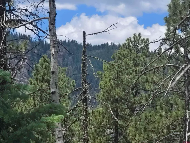 a view of a city with flower plants and large tree