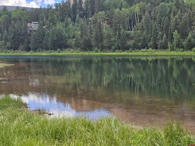 a view of a lush green forest with a lake view