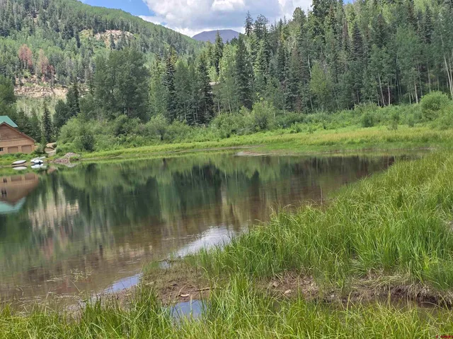 a view of a road with a trees