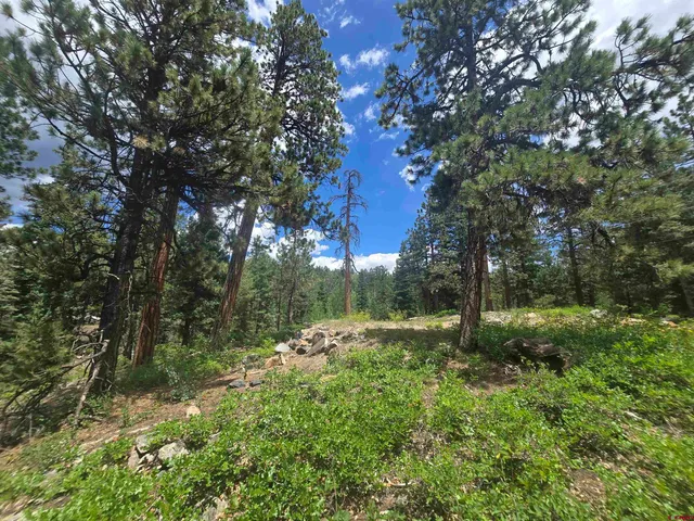 a view of outdoor space and trees all around